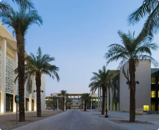 حرم جامعة الأميرة نورة